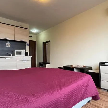 Summer Breeze 406 Sunny